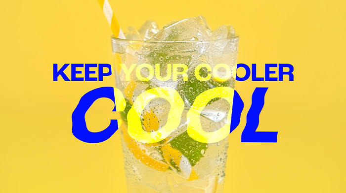 SPEDC | Summer Essentials